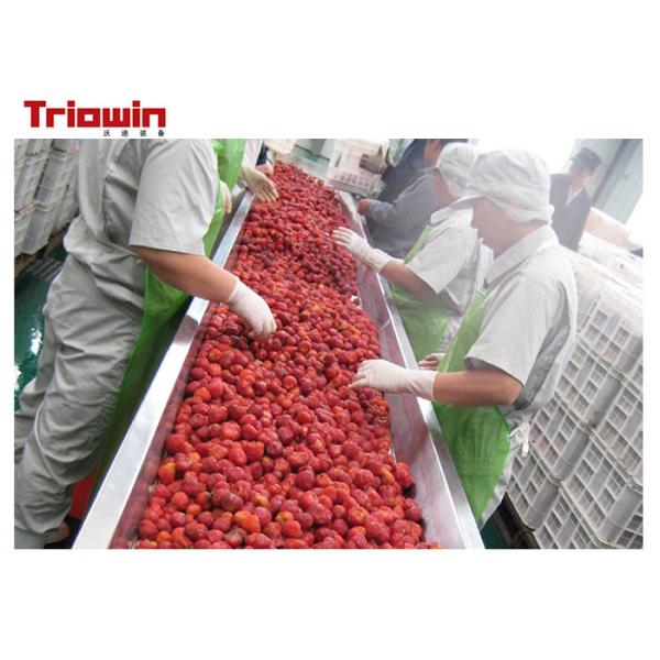Berry Juice Processing Machine Blueberry Beverage Processing Line juice