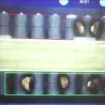 Intelligent Deep-learning 8 lanes+8 outlets Chestnut Sorting Machine 3.3 Tons