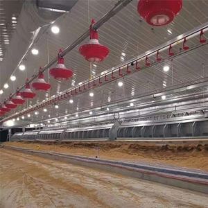 China 90 Degree Chain Automatic Pan Feeding System wholesale