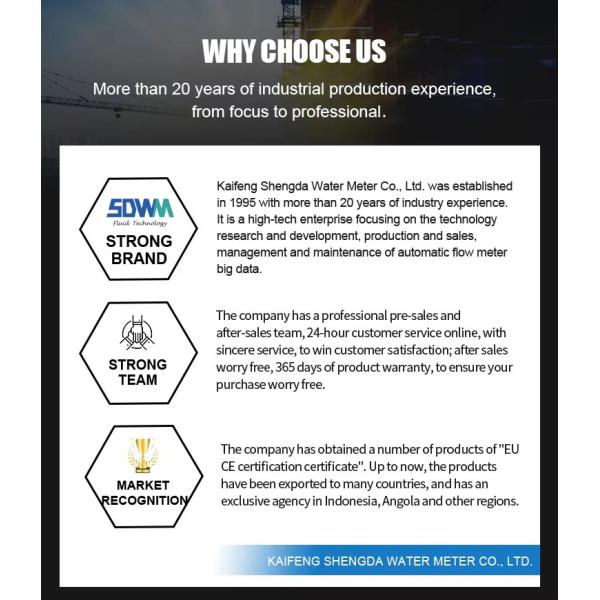 Shengda 2 Inch 50 mm Water Flow Meter Digital Fluid Flowmeter