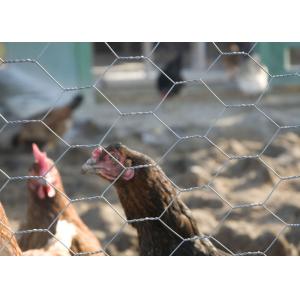 Reverse Twist Chicken Hexagonal Wire Netting Machine