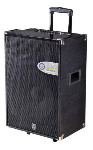 active trolley speaker/portable speaker with usb/sd function