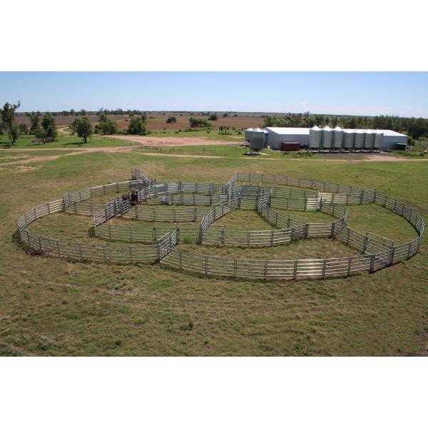 Hot Dipped Galvanized Pipe Full Welded Silver Painted AS/NZS standard 1.8mx2.1m width Livestock Panels
