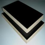 Film faced WBP 1220*2440mm Brown black cheap shuttering plywood in concrete