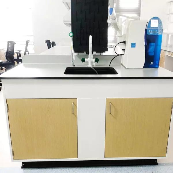 Quality Biologic Laboratory Work Benches Adjustable Lab Bench Science Lab Work Bench Table for sale