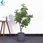 1.3m 1.45m Height Artificial Bonsai Tree , Potted Schefflera Octophylla