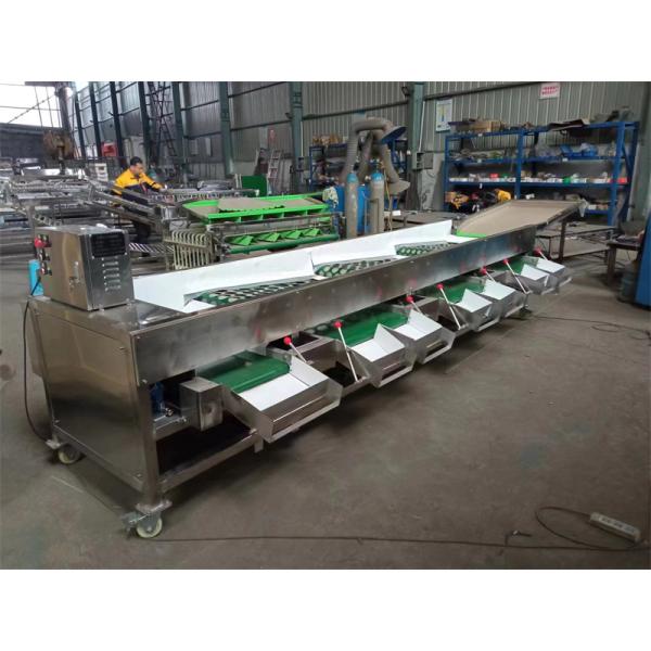 tomatoes grading machine, tomatoes sorting machine, tomato grader sorter