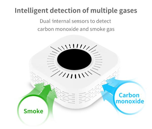 Quality Home Gas Alarm High Sensitivity Carbon Monoxide Sensor Smoke And CO Alarm for sale