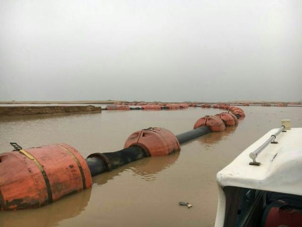 100% Braid Coverage Armoured Hose with Steel Flanges End Connections and