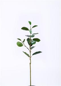 China Ficus Microcarpa Artificial Tree Branches Minimal Care Hand Crafted Breathtakingly Real on sale