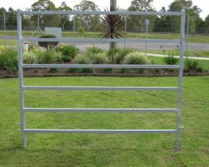 China Heavy Duty 25pcs Bundle Heavy Duty Used Cattle Yards For Sale &amp; Gate for Au wholesale