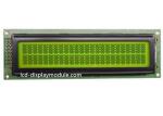 Positive Dot Matrix LCD Display Module With English - Japanese Controller IC