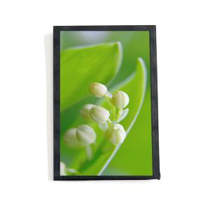 China 7 Inch High Brightness LCD Display 2000nits 40 Pin MIPI Interface IPS TFT LCD Module on sale