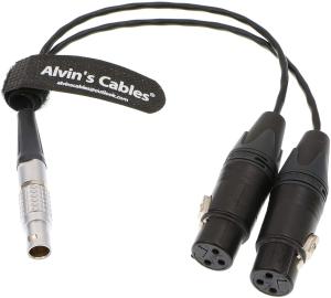 China Alvin'S Cables XLR Breakout Audio Input Cable For Atomos Shogun Monitor Recorder 10 Pin To Dual XLR 3 Pin Female wholesale