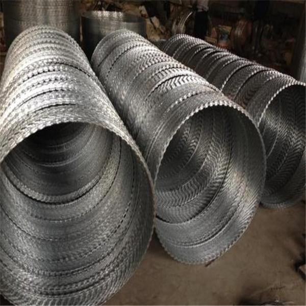 Quality Hot Dipped Galvanized Razor Wire Mesh Fence 12*14 Gauge Free Sample for sale
