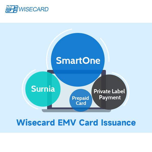 Quality Enhanced EMV Personalization Solution for Secure Payment Card Customization for sale