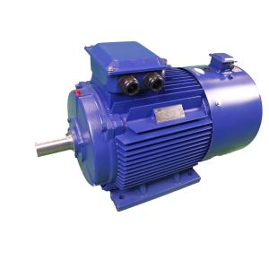 2P To 12P Variable Frequency Drive Motor High Efficiency
