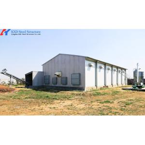Steel Structure Broiler Chicken House with Automated Feeding System