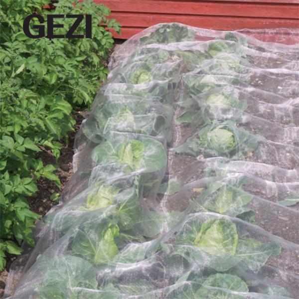 Quality White Anti Bee Net Hail Net Hail Proof Net for Tree Crop Protection, Bird Insect Protection Net, Garden Fish Pond Net for sale