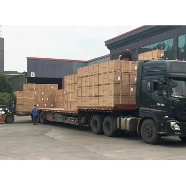 Auto Parts Brass Synchronizer Ring OEM 1297304484/1297 304 484 for Various Applications