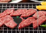 Small Bluetooth Oven Meat Thermometer Smart Meat Thermometer With Timer Function