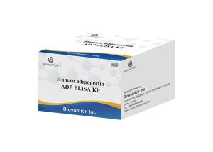 Adiponectin RUO Test Kit ADP/ACDC/ACRP30/APM1/GBP28/ADIPOQ ELISA Kit