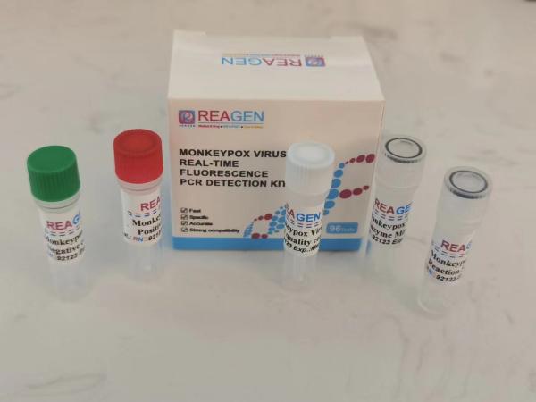 Quality CE Real Time Fluorescence PCR Detection Kit High Accuracy For Monkeypox Virus for sale