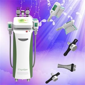 China 2014 latest and hottest Cryolipolysis Slimming Machine with touch screen wholesale