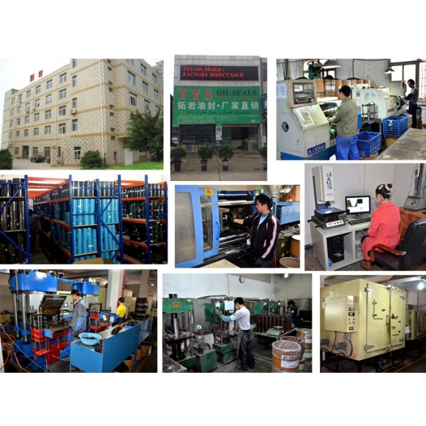 PTFE TFG TFP Hydraulic Gasket Seal Rock Breaker Seal Kit OEM ODM