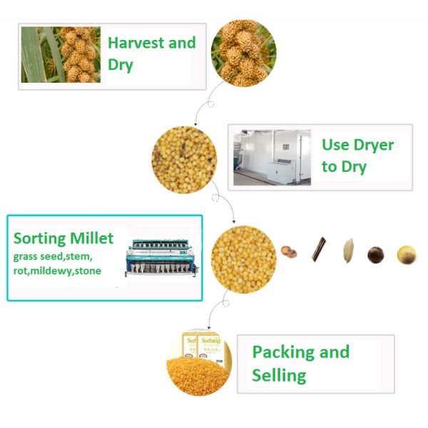 Low Consumption Easy Operation Multi Usage Grain Color Sorter For Little Yellow Rice