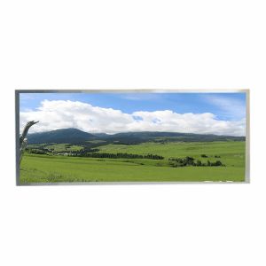 China 12.3&quot; HannStar Wide Temperature LCD High Brightness 1920x720 wholesale