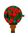480*480Dot Round TFT LCD Display With MIPI Interface
