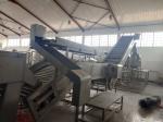 Automatic Mango Processing Line 20T/H Food Grade SS304
