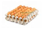 Automated Rotating Egg Tray Machine / Paper Pulp Moulding Machine