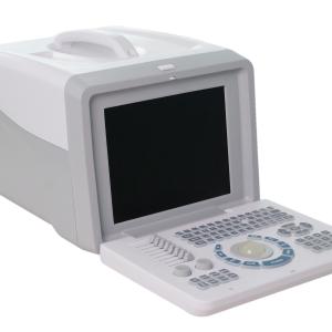 China Durable 2D Echo Portable USG Machine For Physiotherapist Convex Linear Probe wholesale