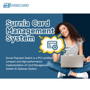 China Secure Secure Card Management With Enhanced GUI Web Based Security Encrypted Transactions wholesale