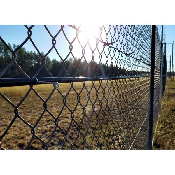 Galvanized Chain Link Fence, with Hot-dipped galvanized, Electro-galvanized or PVC coated
