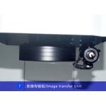 3D Fully Automatic Vision Measurement System For Metal Detection