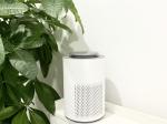 Highly Reactive HEPA Air Purifier with Cold Plasma Technology for Safe and