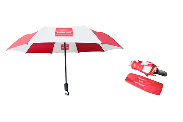 42 Inch Folded Double Layer Umbrella Auto Open And Close Umbrella