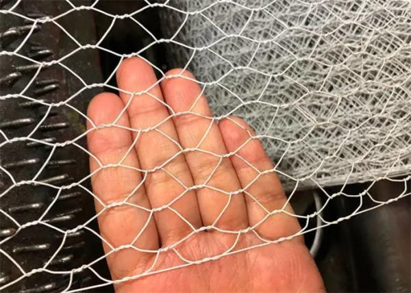 Quality Hot Dipped Galvanized After Weaving Hexagonal Wire Mesh For Slope Protection for sale