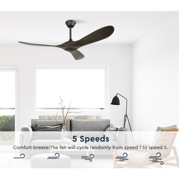 Decor Dc Solid Blade 52 Inches Ceiling Fan With Remote Control