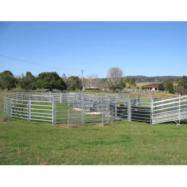 Cattle Yard 6 Rails 42*115mm Galvanize Corral Panel Fence