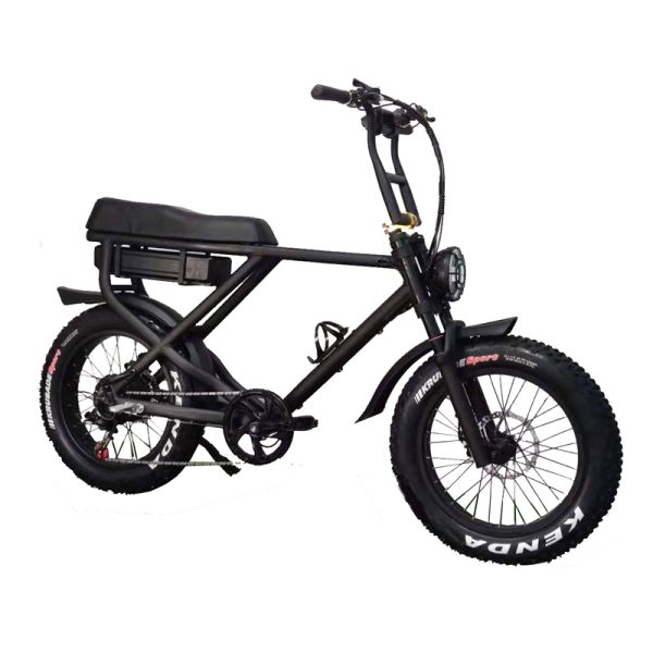 20 Inch Electric Fat Tyre Bike for Adult Customized Vintage E Dirt Bike Beach Bikes Cruisers