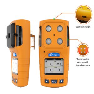 H2S Pump Suction Portable Gas Detector High Precision