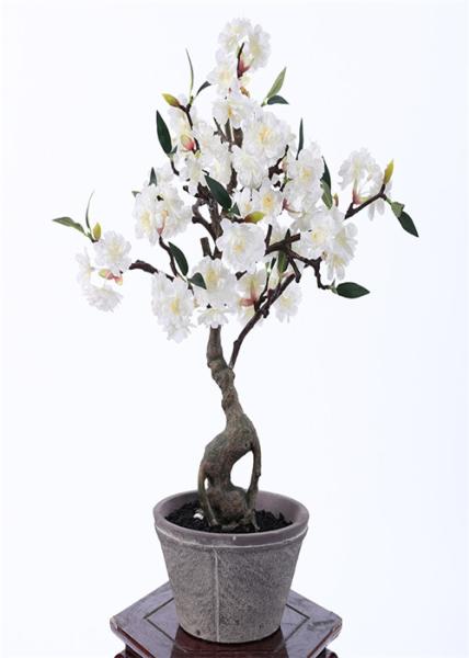 Quality 55CM Artificial Bonsai Tree , Artificial Decorative Trees For Harried Modern Lifestyle for sale