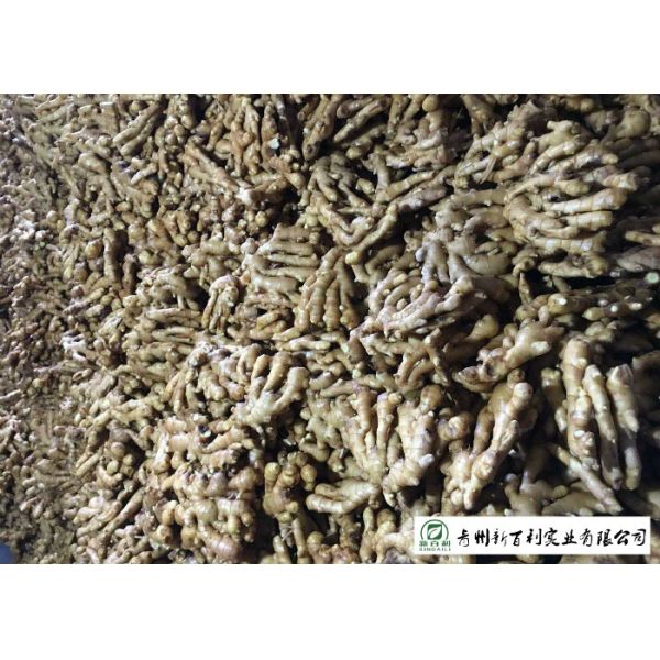 Own Bases Organic Fresh Ginger Storage Temperature 10 °C - 15 °C