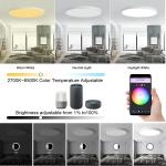 24w Tuya Smart Ceiling Light Colorful Rgb Remote Control Smart Light Led Modern