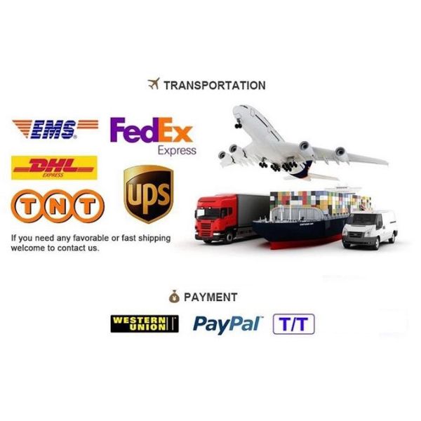 C0G 0402 Multilayer Ceramic Chip Capacitors , 12pF 50V ± 5 % Ic Electronic Components