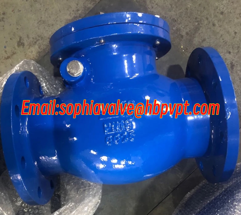 GG25 low pressure cast iron flanged swing check valve blue color